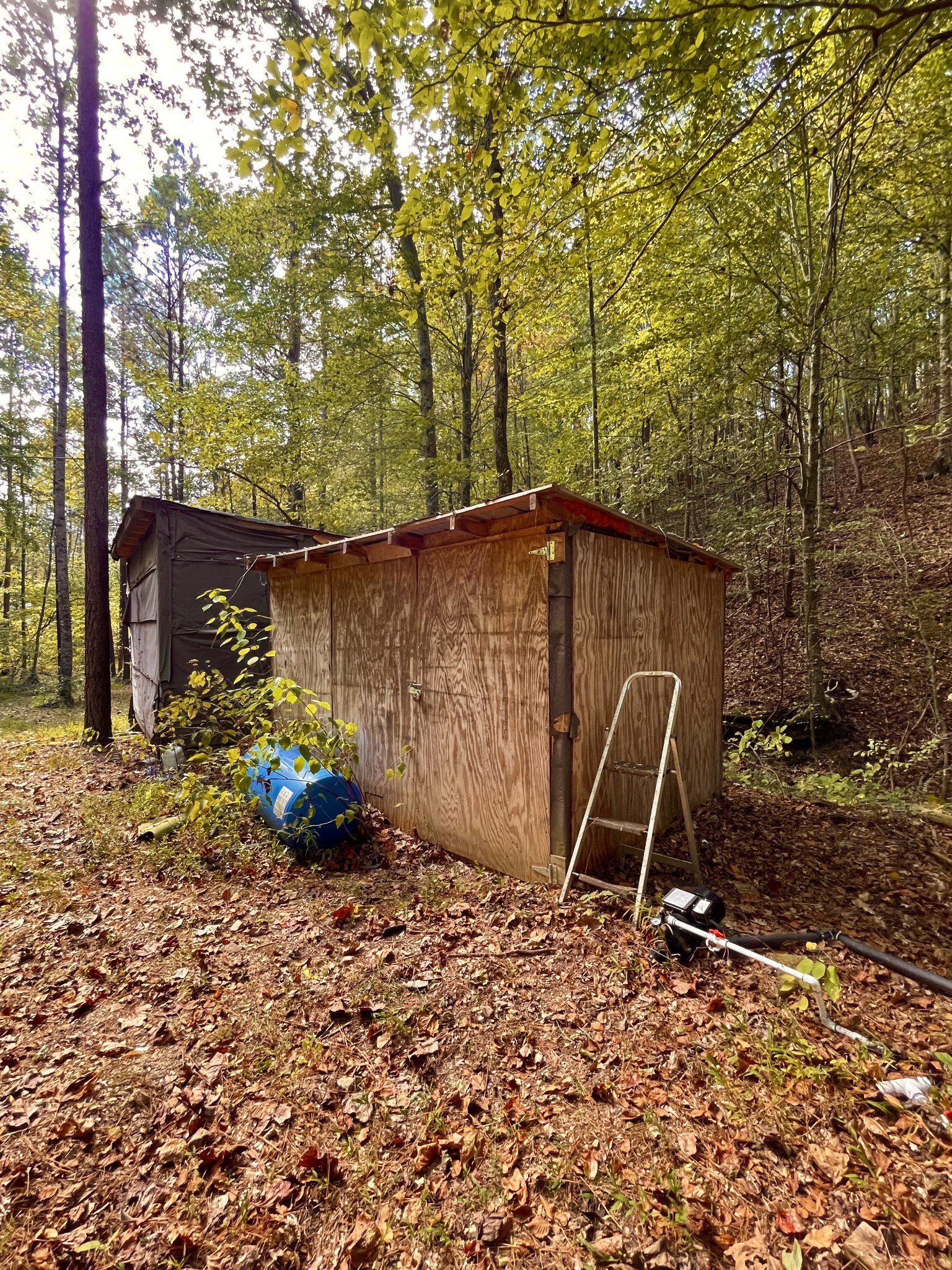 7593 Todd Road Westpoint, TN 38486 - Photo 28 of 41 a view of a backyard