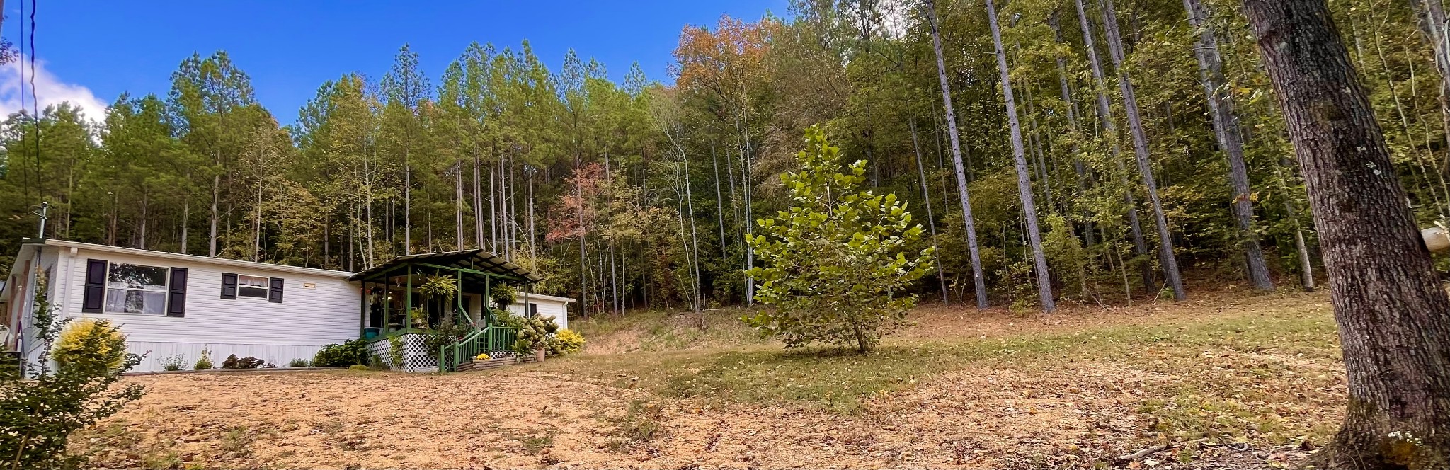 7593 Todd Road Westpoint, TN 38486 - Photo 35 of 41 a view of backyard with a barn