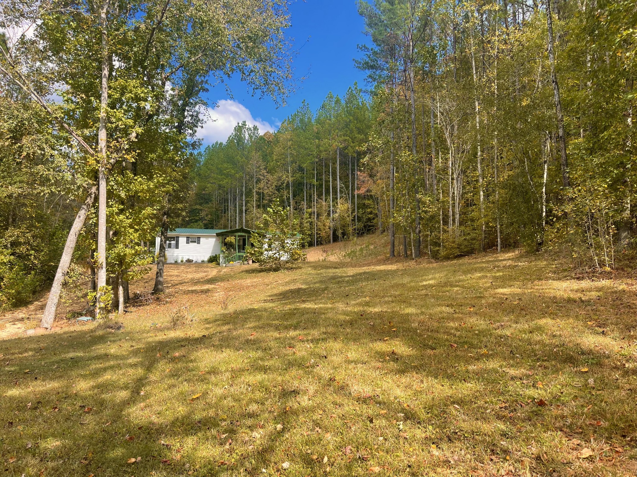 7593 Todd Road Westpoint, TN 38486 - Photo 41 of 41 a view of road with large trees