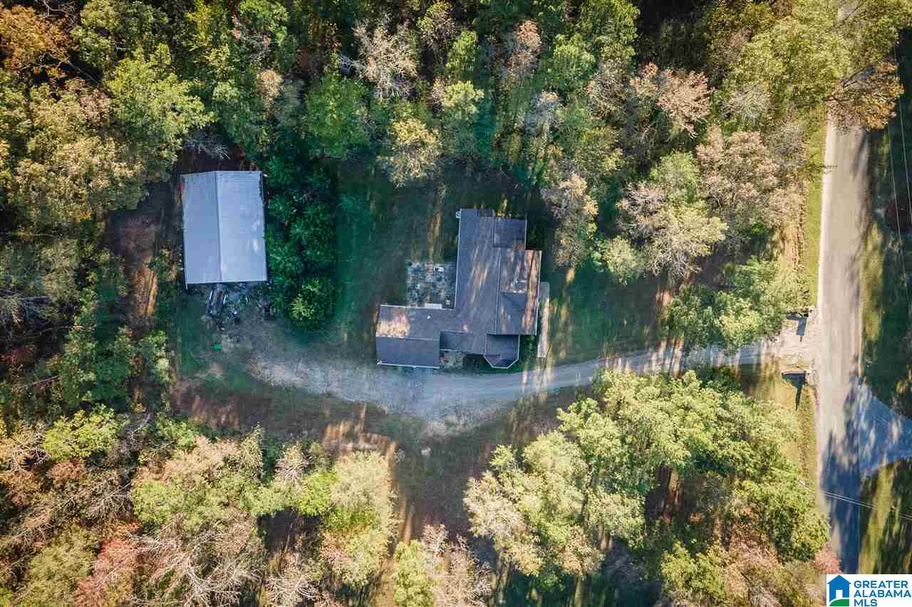 880 Lovejoy Road Ashville, AL 35953 - Photo 4 of 22