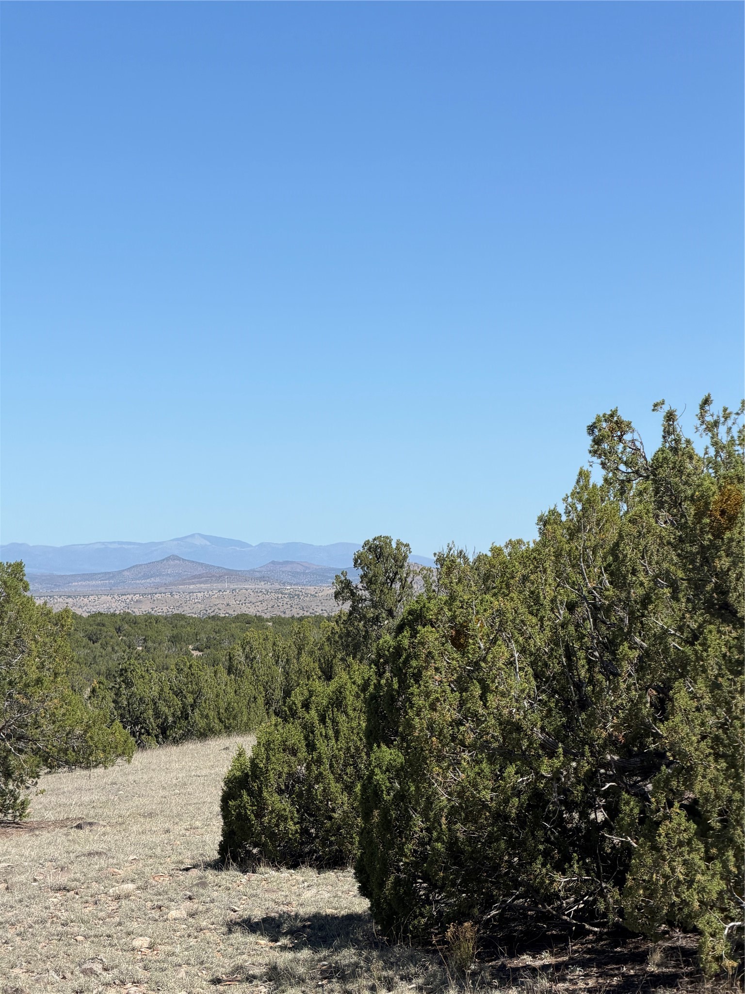 7 C Rancho De Shama, Unit A Cerrillos, NM 87010 - Photo 13 of 19