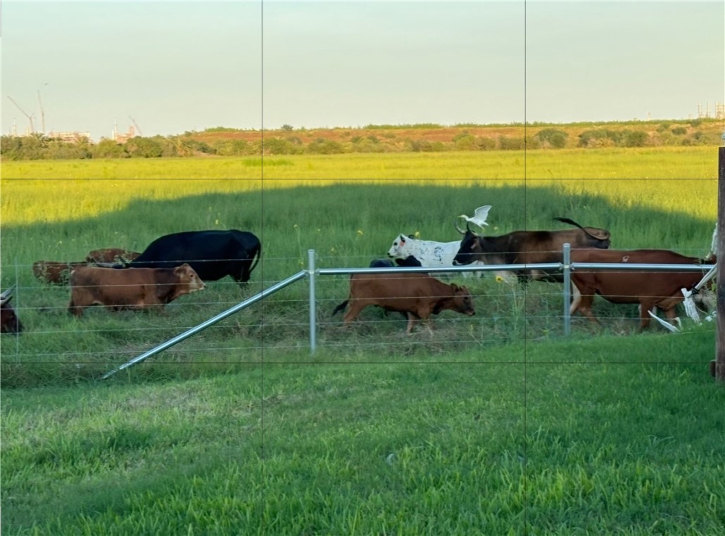 1051 Ocean Breeze Portland, TX 78374 - Photo 37 of 37 a view of a lake with couches and city view