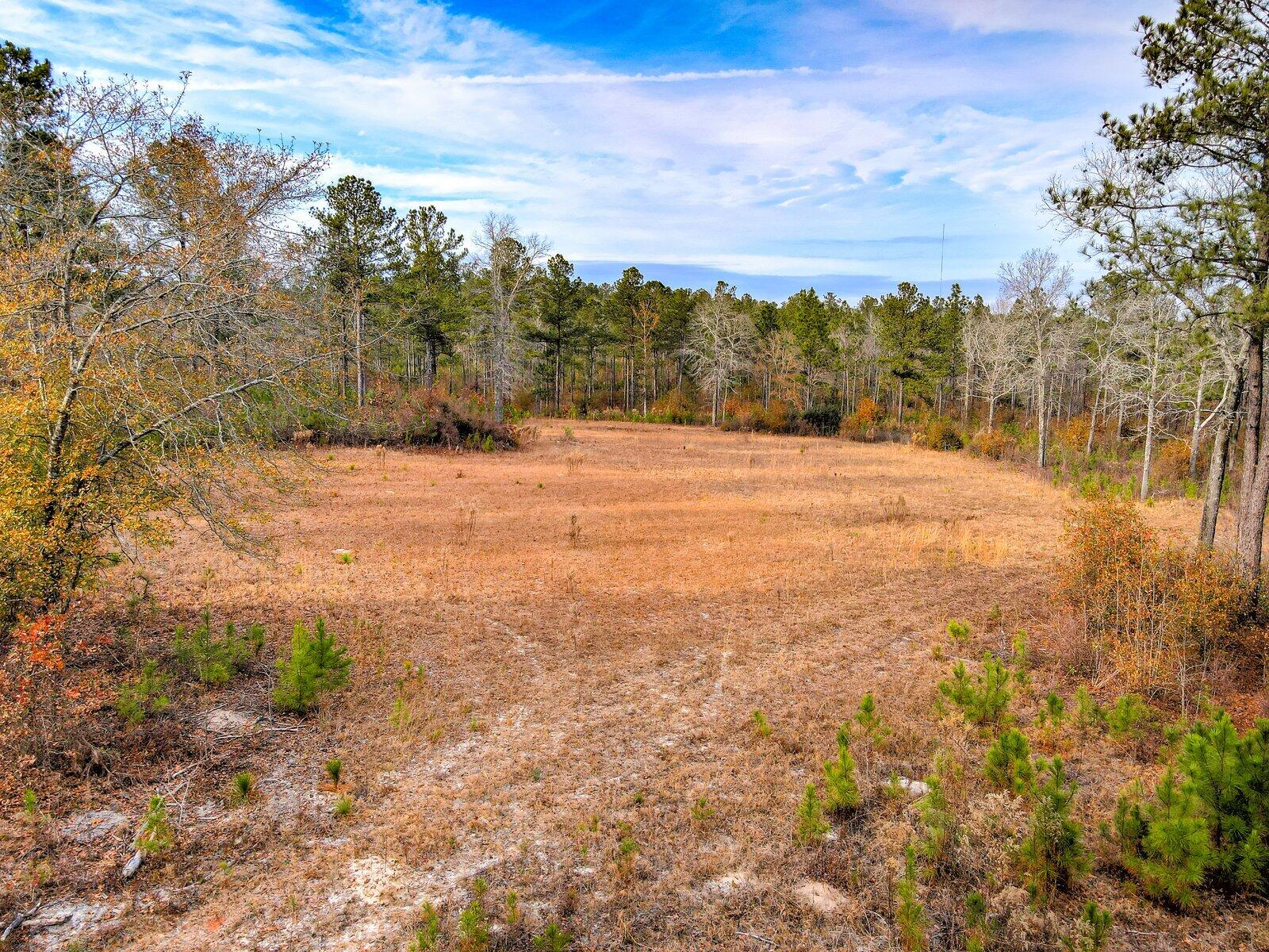 0 Deer Run Road, Unit B Williston, SC 29853 - Photo 1 of 19 Gallery Image 1