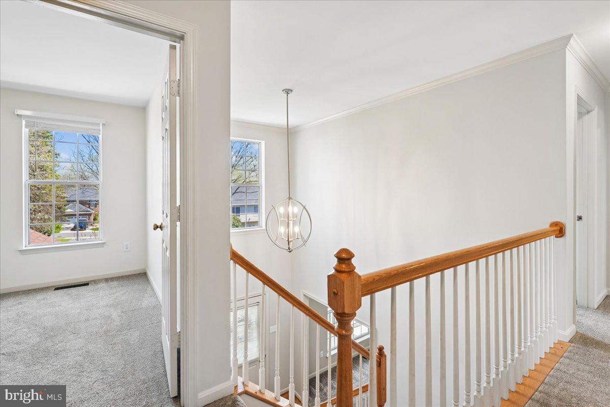 18512 Fiddleleaf Terrace Olney, MD 20832 - Photo 17 of 33