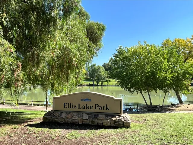 a view of a park that has a tree