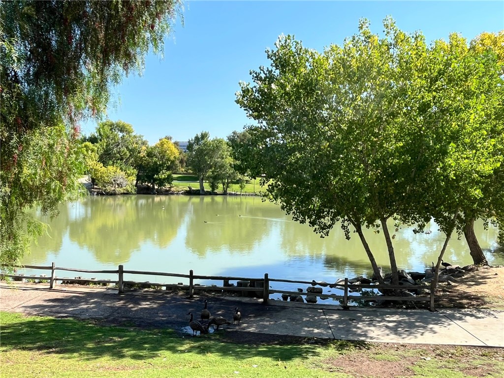 1731 Ellis Street, Unit 16 Concord, CA 94520 - Photo 20 of 20 a view of a lake with a tree