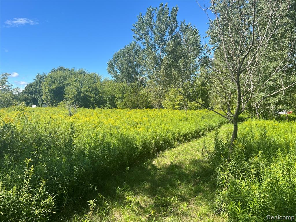0 Barnes Road Mayville, MI 48435 - Photo 11 of 13 Gallery Image 11