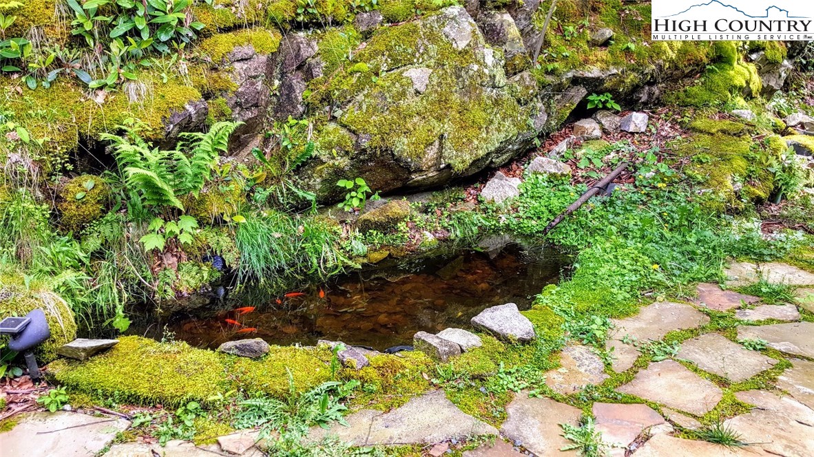 486 Middle Fork Road Blowing Rock, NC 28605 - Photo 4 of 30