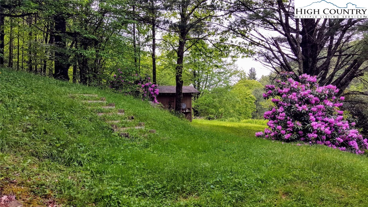 486 Middle Fork Road Blowing Rock, NC 28605 - Photo 6 of 30