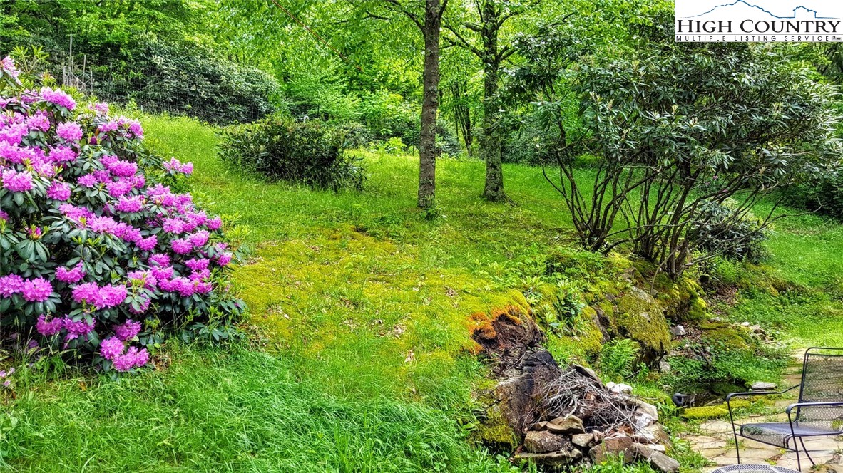 486 Middle Fork Road Blowing Rock, NC 28605 - Photo 8 of 30