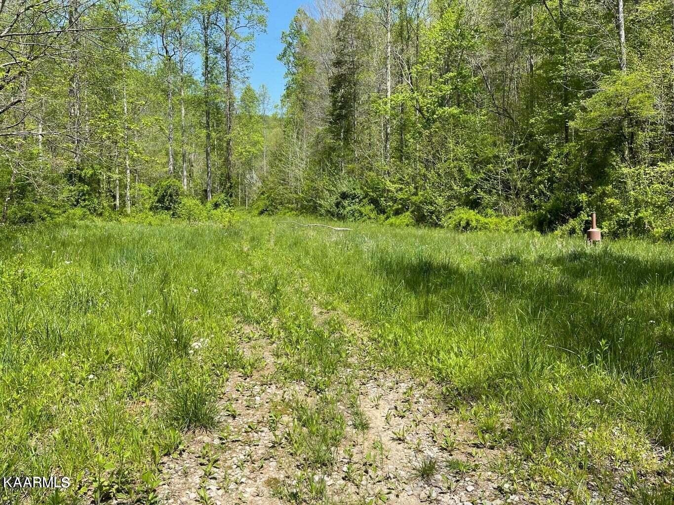 0 Henry Cemetery Road Monterey, TN 38574 - Photo 1 of 9 Gallery Image 1