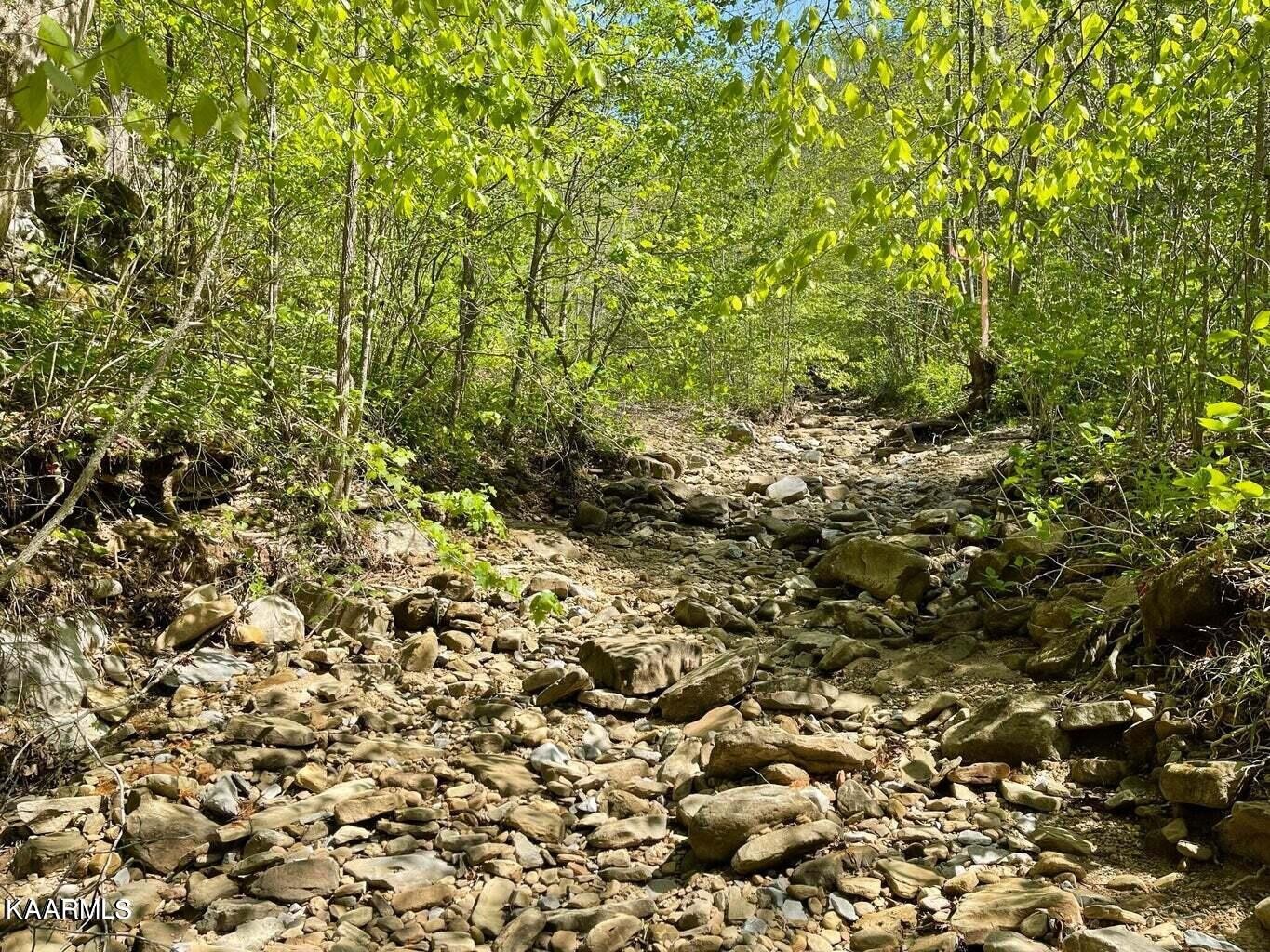 0 Henry Cemetery Road Monterey, TN 38574 - Photo 2 of 9 Gallery Image 2
