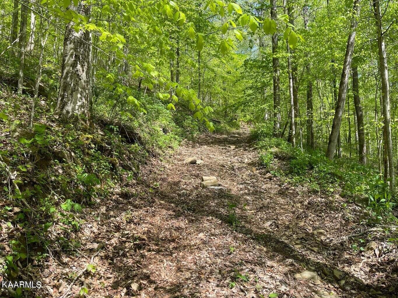 0 Henry Cemetery Road Monterey, TN 38574 - Photo 6 of 9 Gallery Image 6
