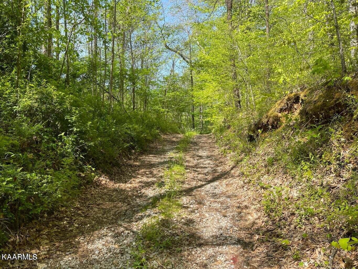 0 Henry Cemetery Road Monterey, TN 38574 - Photo 7 of 9 Gallery Image 7