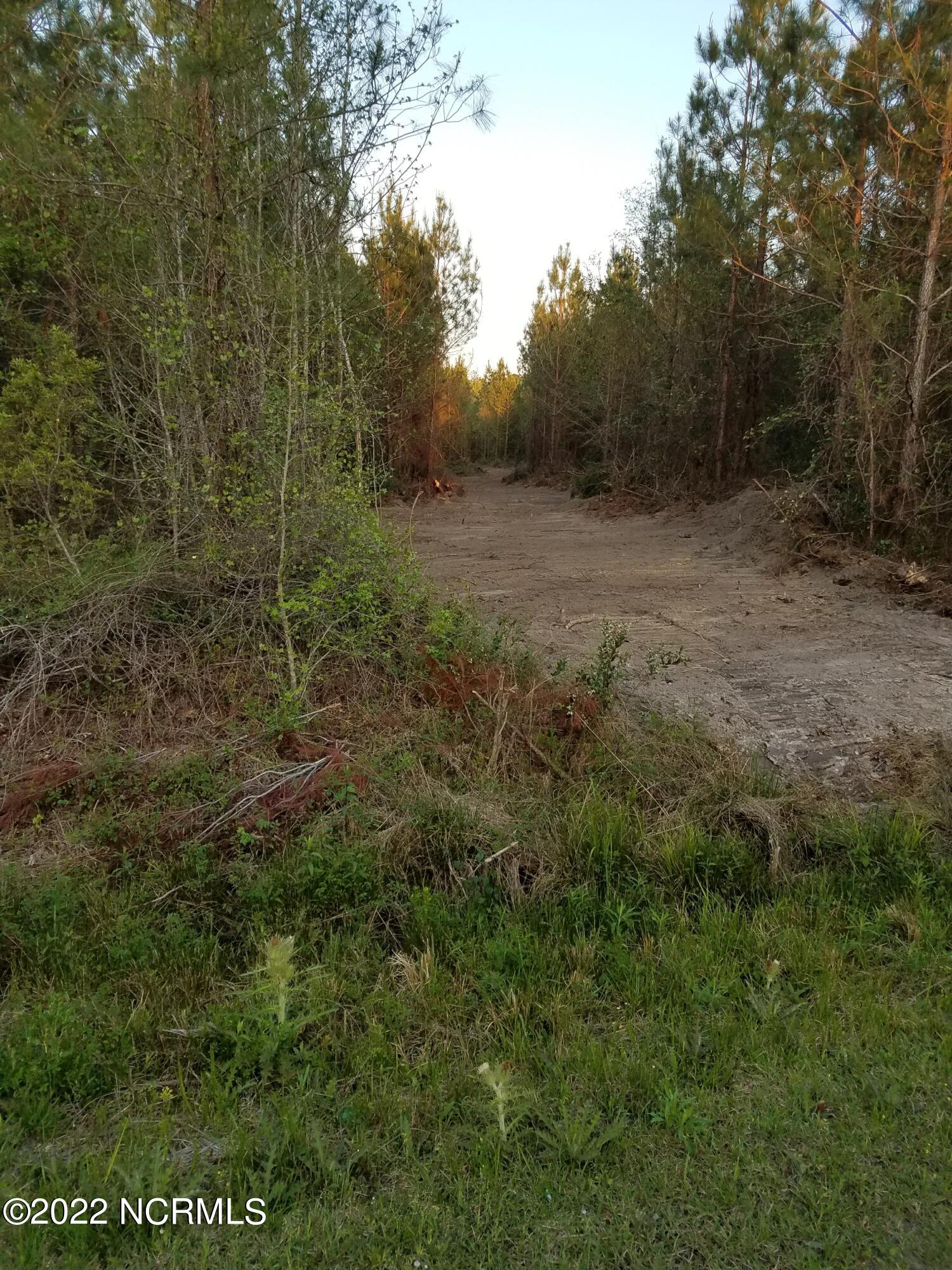 0 Battleground Road Currie, NC 28435 - Photo 11 of 17 Aug 22 20170420_191704