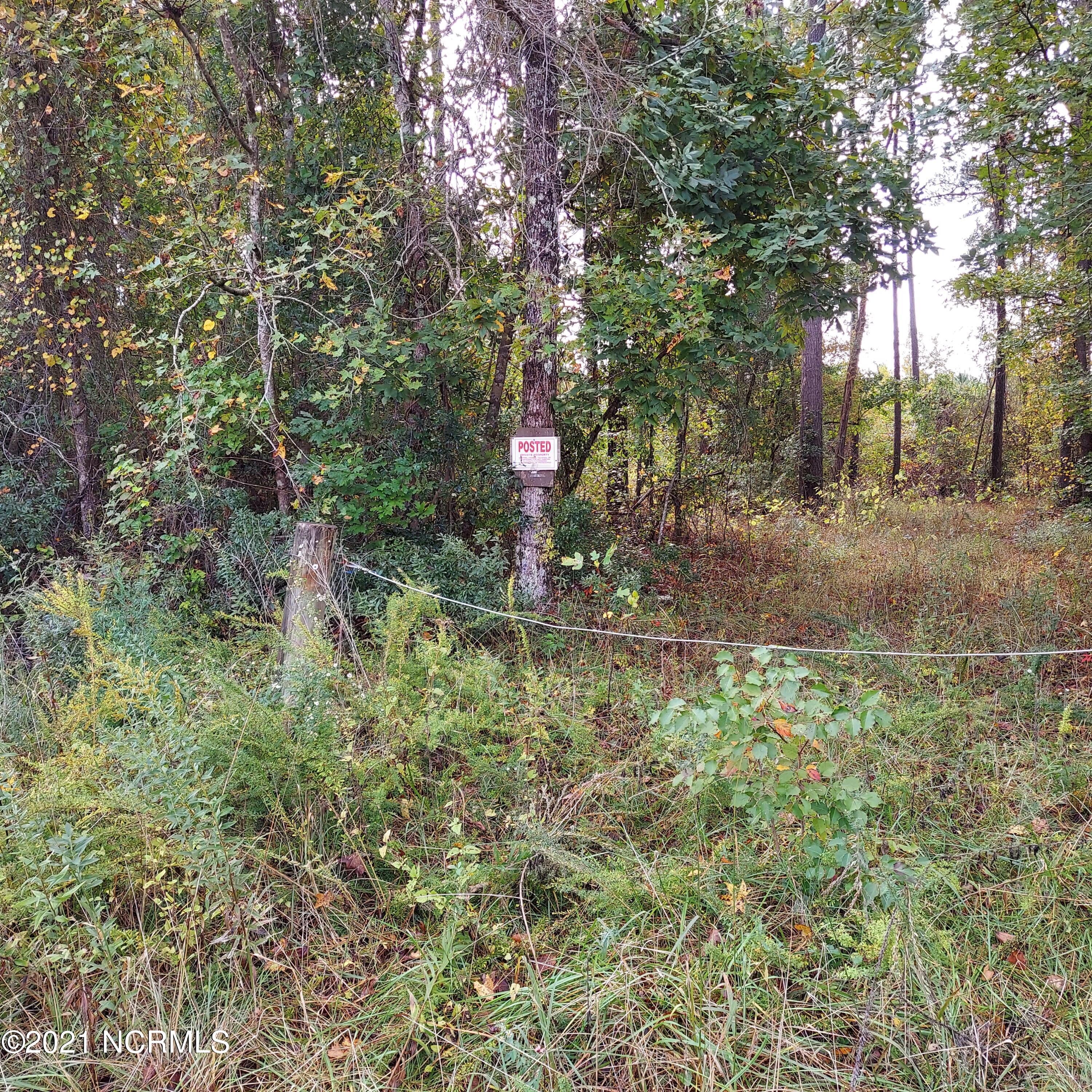 0 Battleground Road Currie, NC 28435 - Photo 15 of 17 20211029_105307
