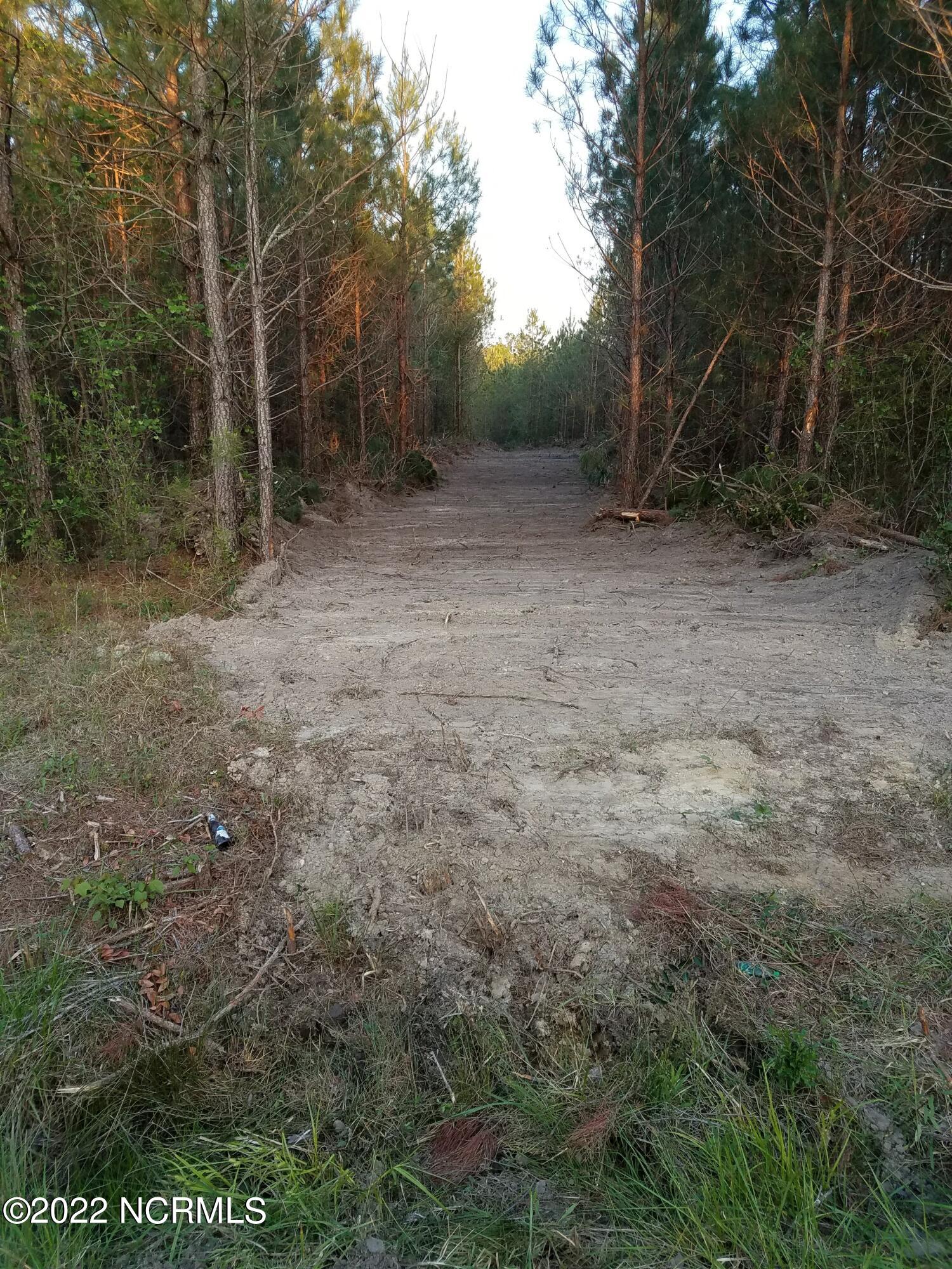 0 Battleground Road Currie, NC 28435 - Photo 10 of 17 Aug 22 20170420_191538