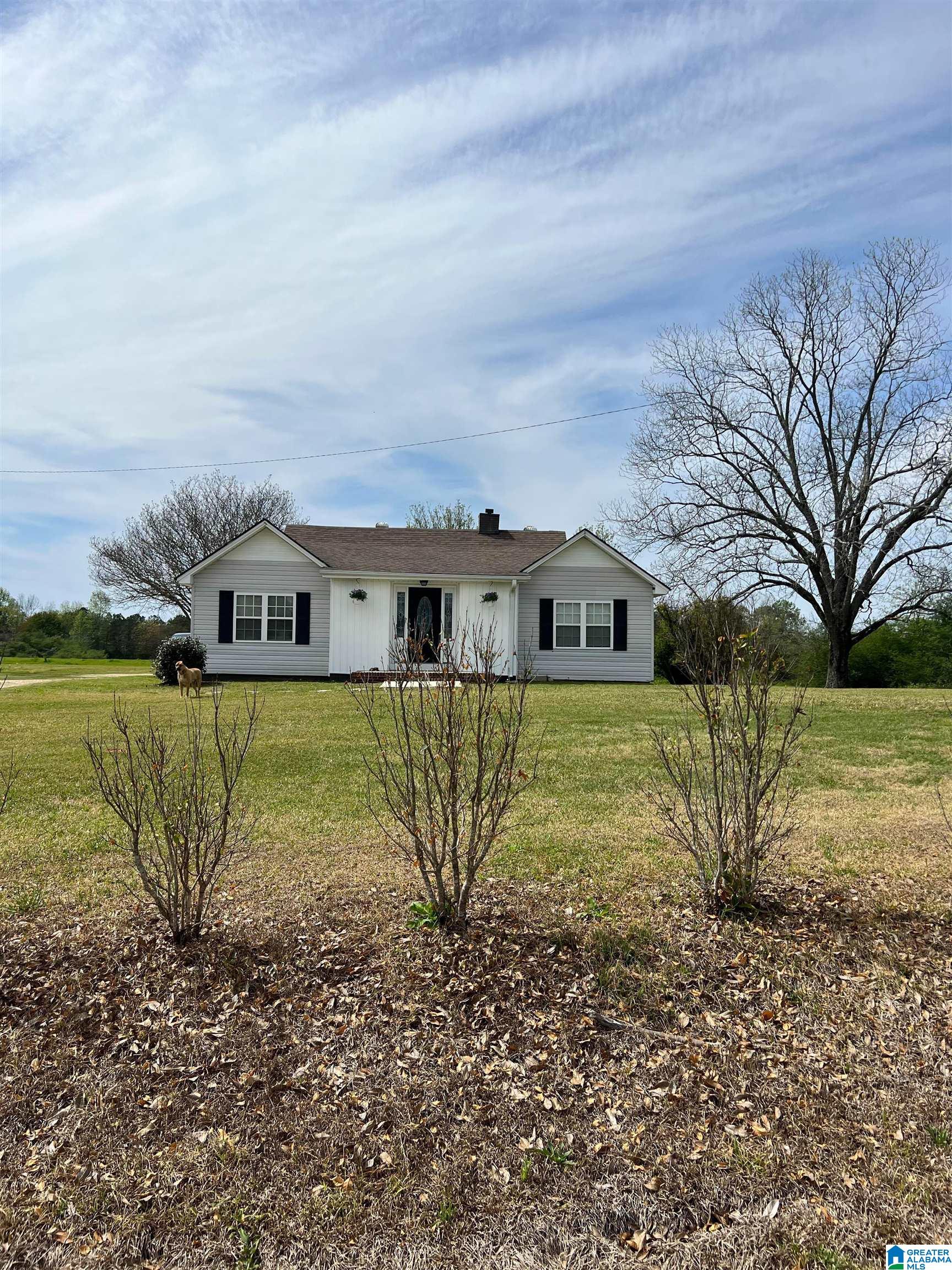 3104 County Road 49 Clanton, AL 35045 - Photo 3 of 18