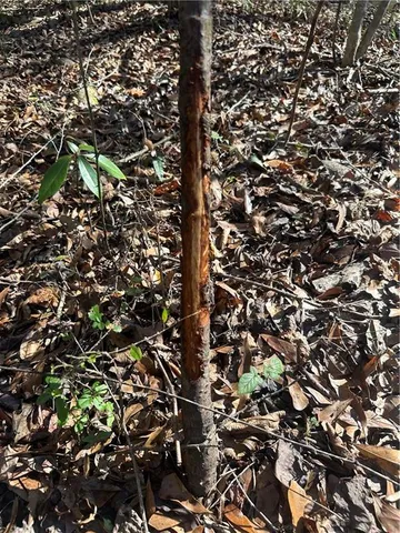 $327,180 | Undisclosed Address, Mount Hermon, LA 70450