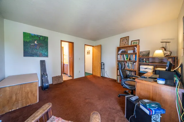 a bathroom with a sink a mirror and a shower