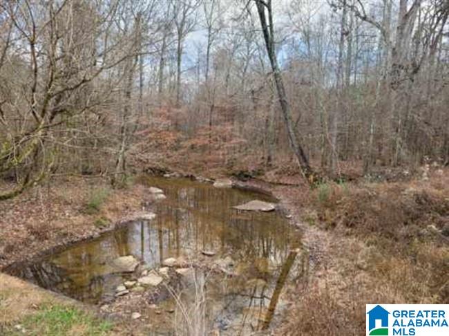 2194 County Road 818 Logan, AL 35098 - Photo 2 of 8