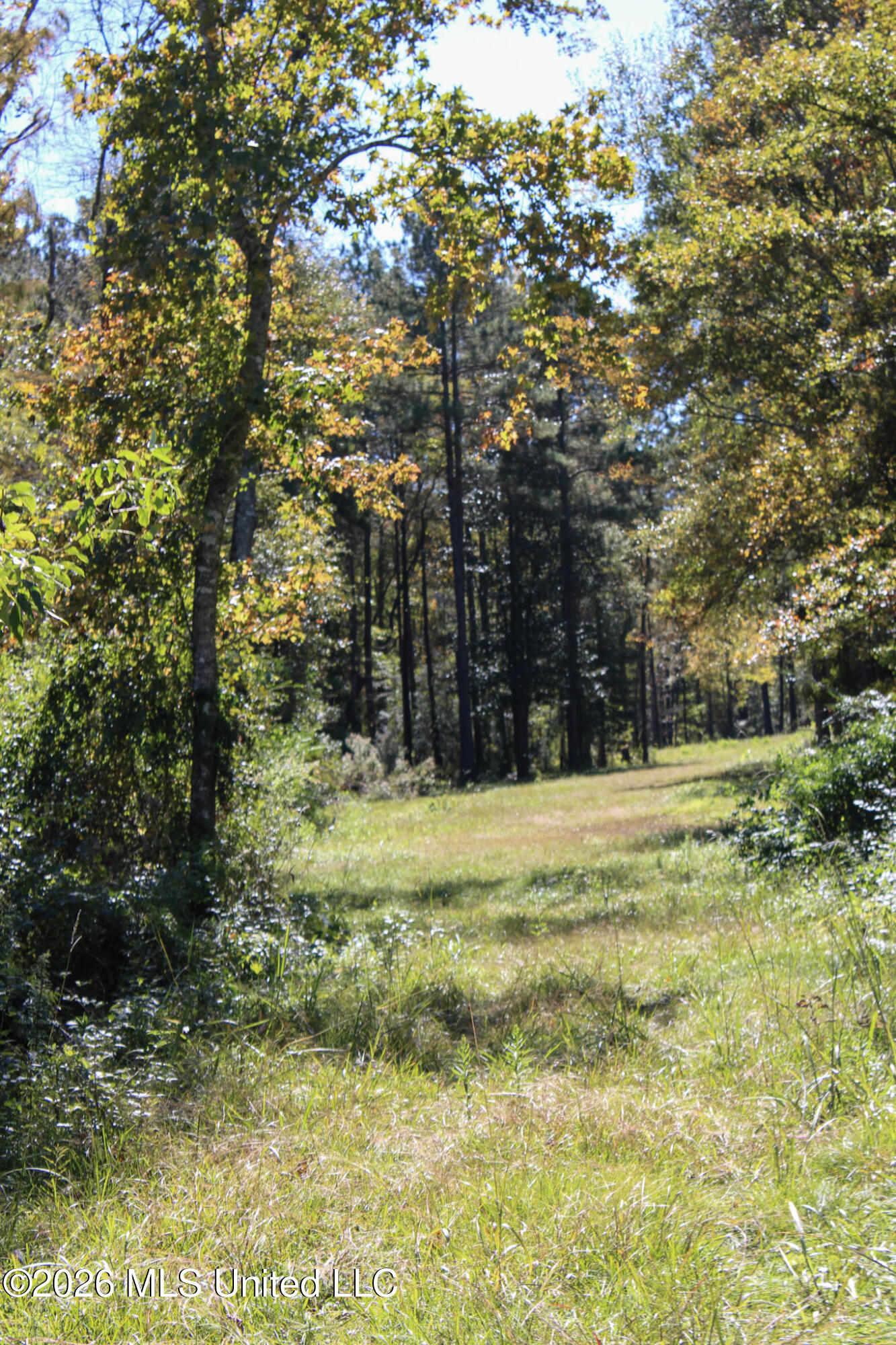2108 Joel Lang Road McComb, MS 39648 - Photo 82 of 87 134-IMG_0622
