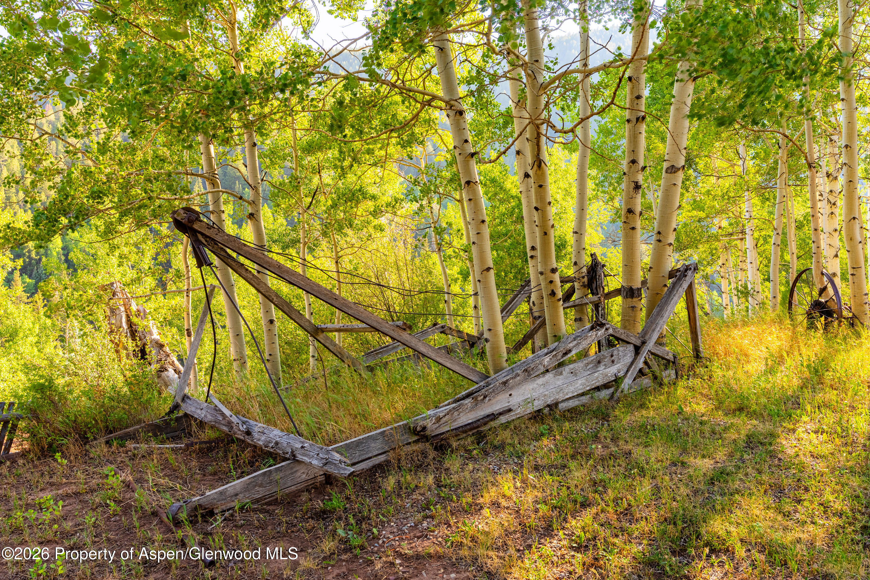 294 Ruedi Creek Road Basalt, CO 81621 - Photo 55 of 94 294RuediCrk_DASH00049