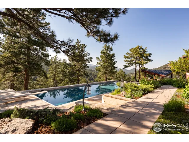 a view of backyard with a barn and a cactus plant