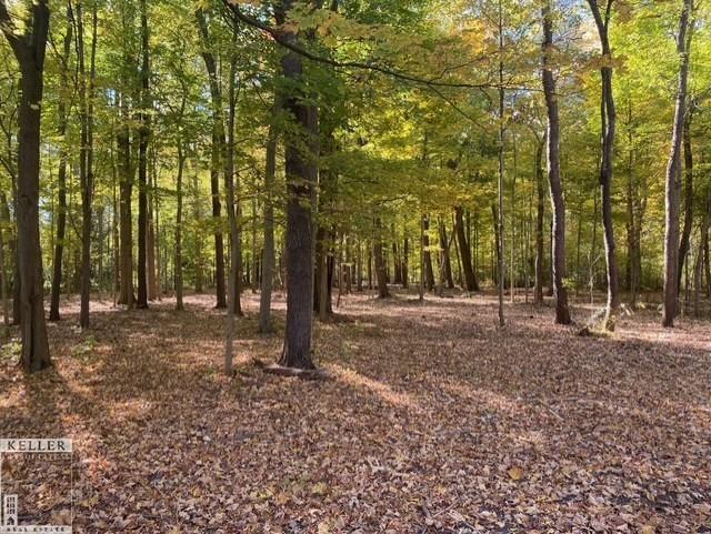 Parcel #1 Smith Road Mount Clemens, MI 48043 - Photo 1 of 8 Gallery Image 1