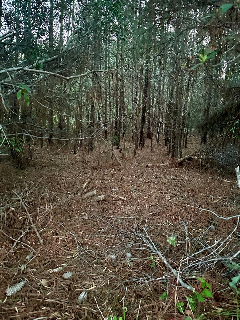 Lot #3 East Point Road, Unit 3 Onancock, VA 23417 - Photo 4 of 17