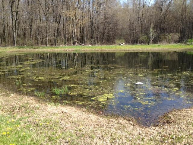 40050 Willis Road Belleville, MI 48111 - Photo 1 of 5 Photo 1
