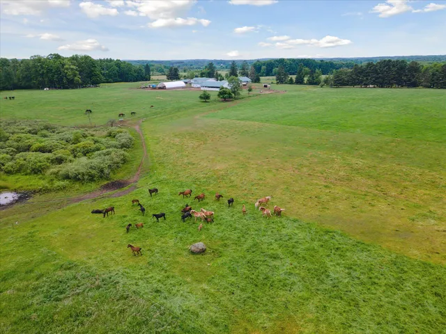 $700,000 | 21576 Patterson Road, Unit OPTION A, Tustin, MI 49688