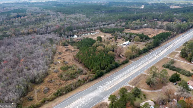 a view of a garden with a pathway