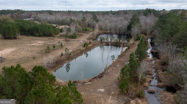 an aerial view of residential house with green space