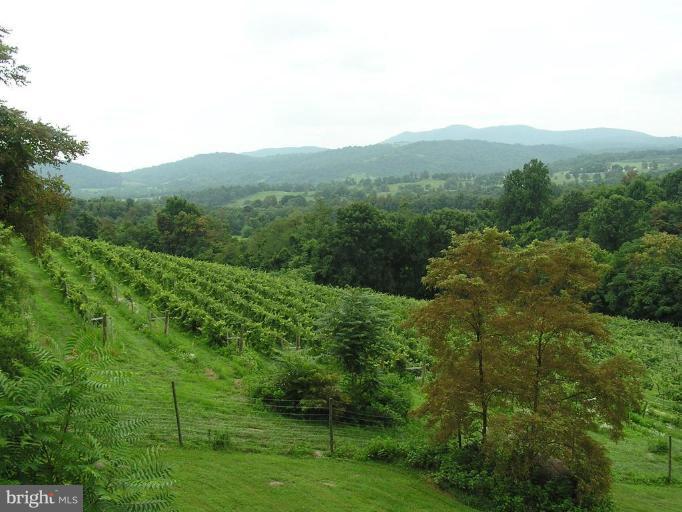 2747 Leeds Manor Road Markham, VA 22643 - Photo 2 of 5 a view of a lush green forest with trees in the background