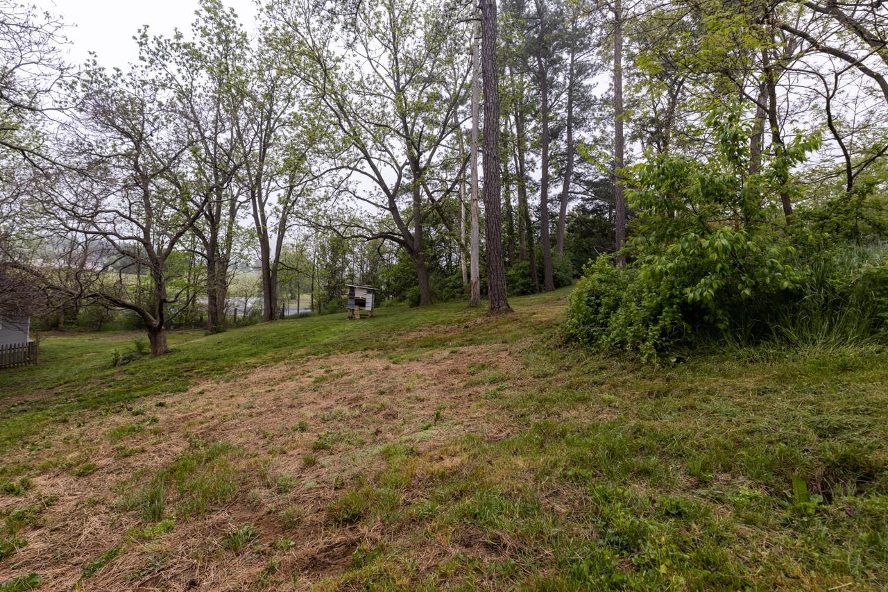 376 Kiddsville Road Fishersville, VA 22939 - Photo 26 of 31 a view of a tree in a yard