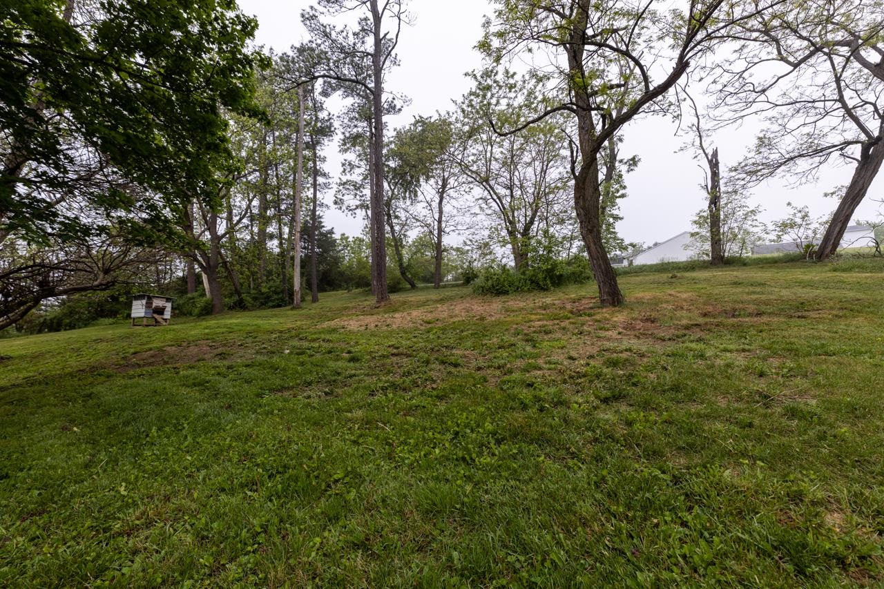 376 Kiddsville Road Fishersville, VA 22939 - Photo 27 of 31 a view of a field with trees