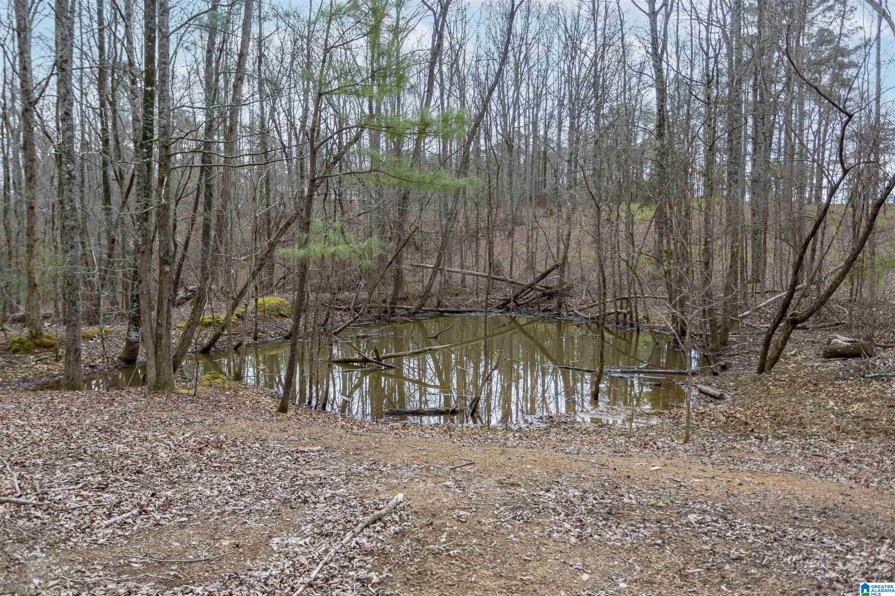 222 Sweetgum Road Calera, AL 35040 - Photo 84 of 97