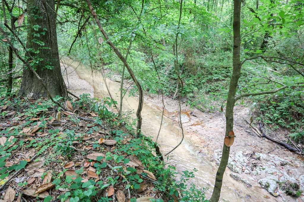 8147 Judge Logue Road Newton, AL 36352 - Photo 21 of 35