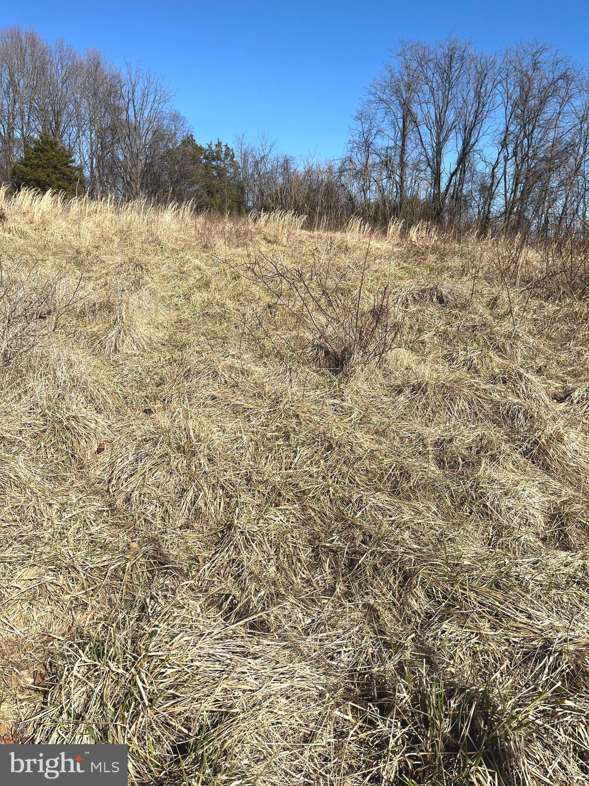 18936 Harmony Church Road Leesburg, VA 20175 - Photo 21 of 60 Rear Open Field 4