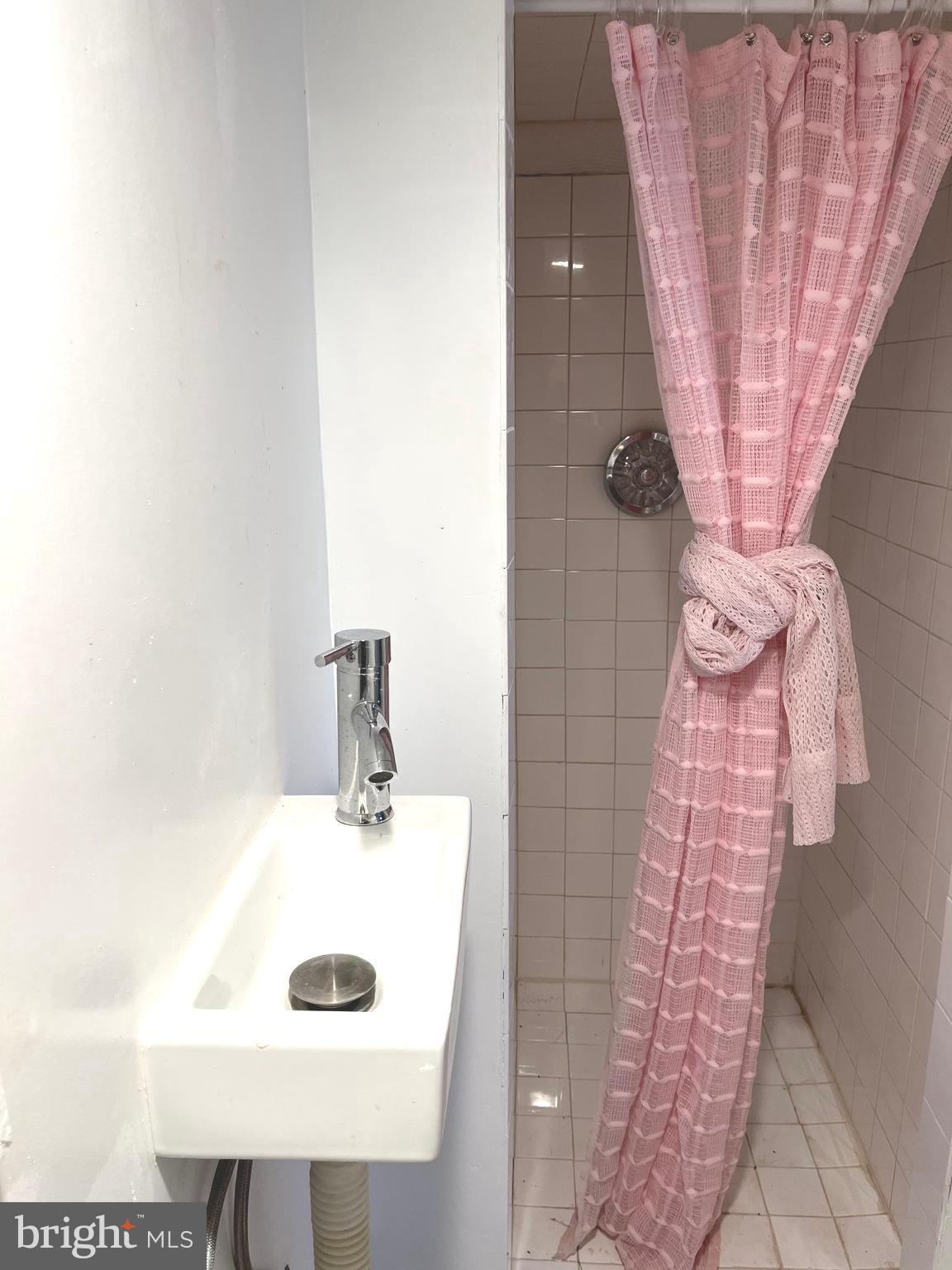 18936 Harmony Church Road Leesburg, VA 20175 - Photo 39 of 60 Stand-Up Shower in Half Basement