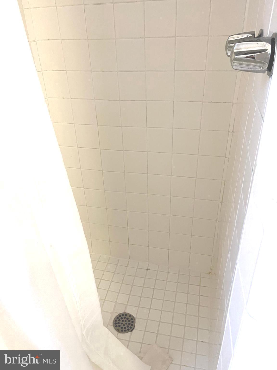 18936 Harmony Church Road Leesburg, VA 20175 - Photo 48 of 60 Adjacent Stand-Up Shower