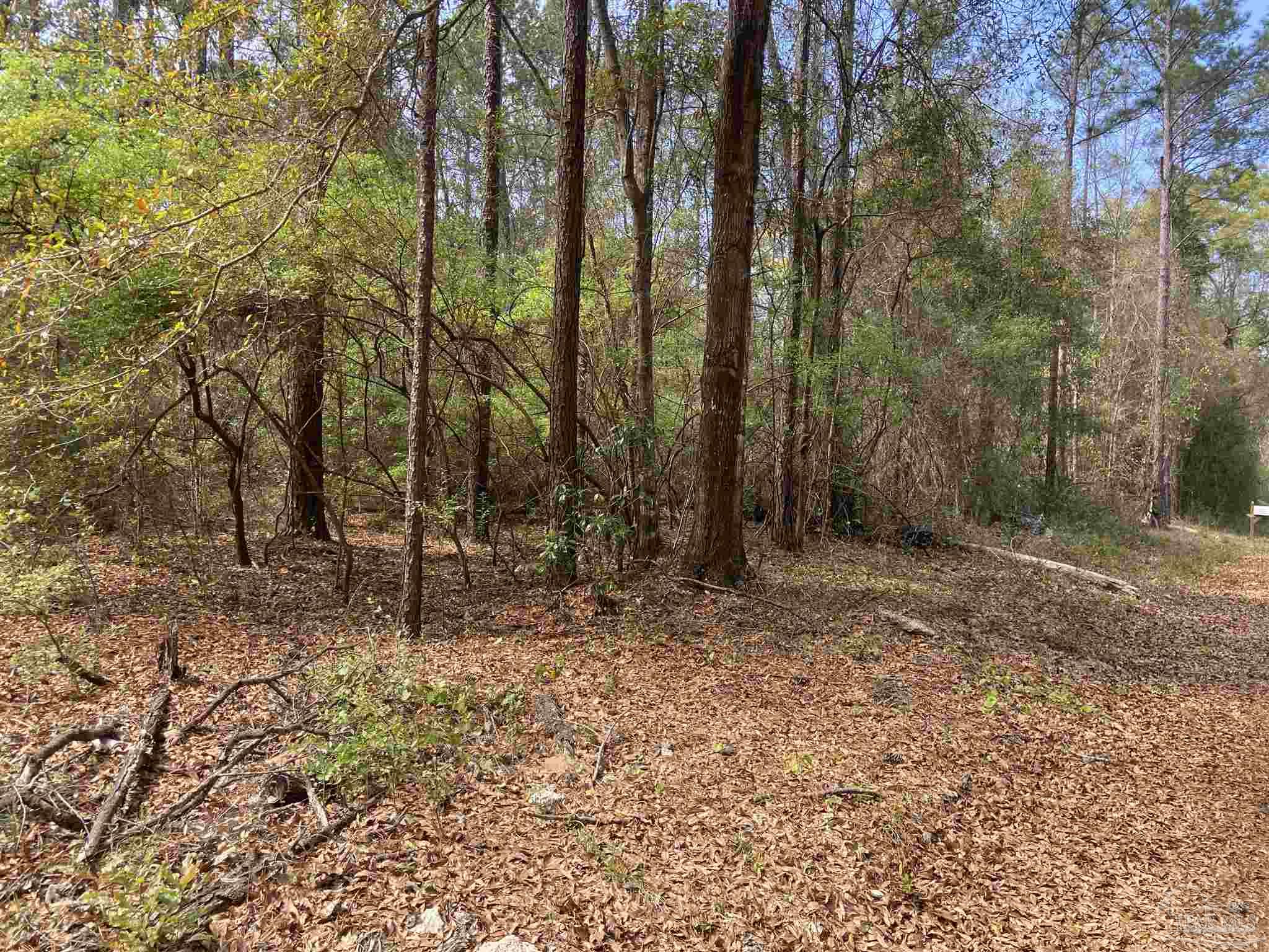 0 Tom Shivers Road Flomaton, AL 36441 - Photo 13 of 23 Gallery Image 13
