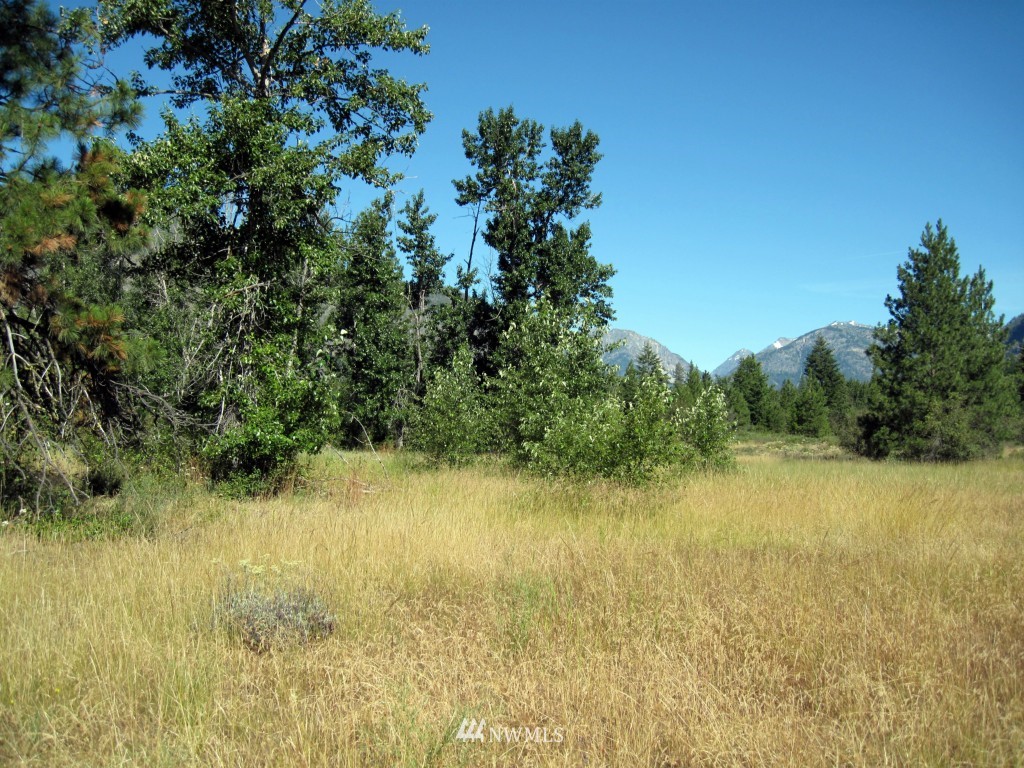 0 Wilson Ranch Road Mazama, WA 98833 - Photo 1 of 1 Gallery Image 1