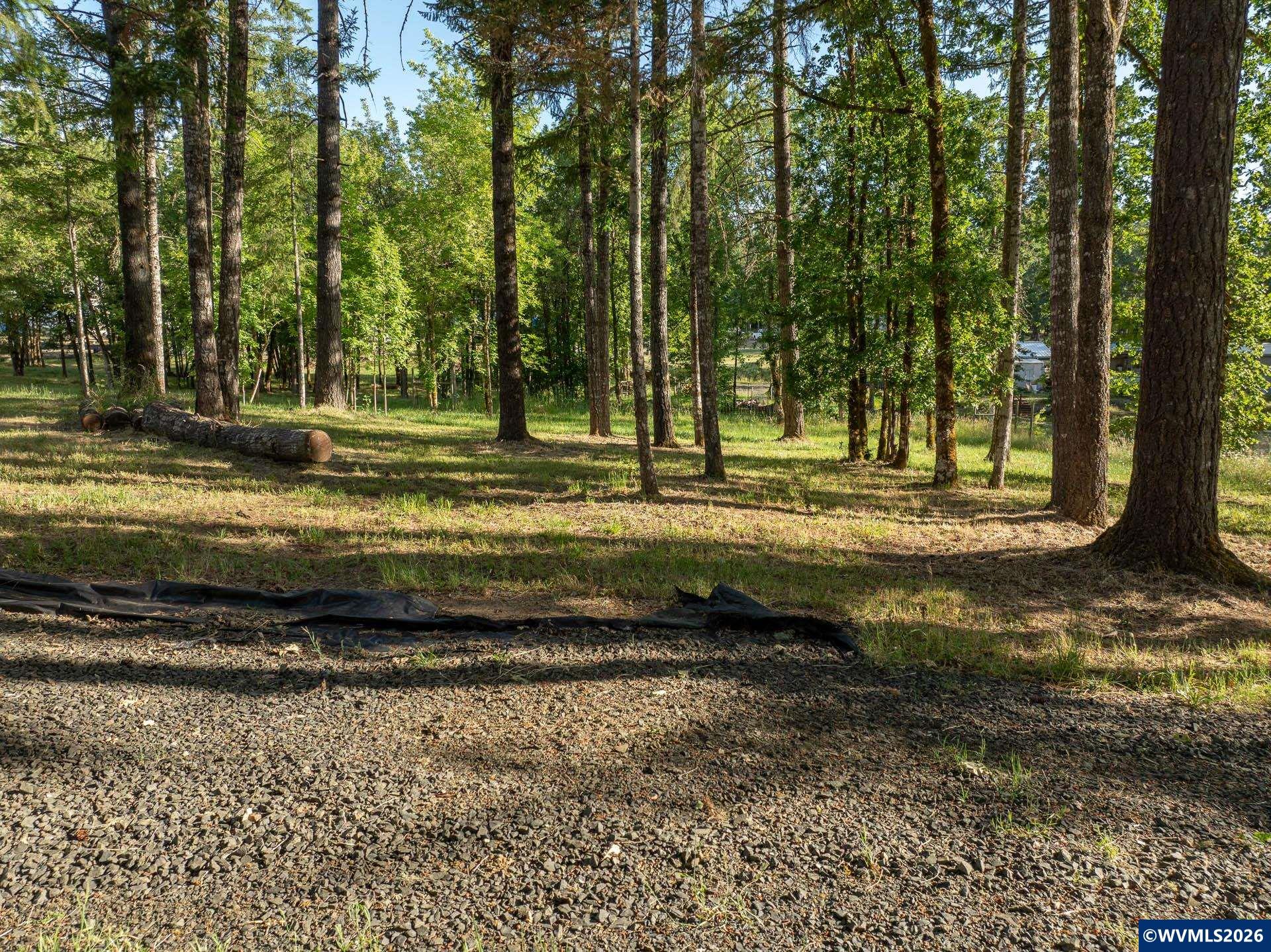 4355 Sample Road Falls City, OR 97344 - Photo 10 of 22