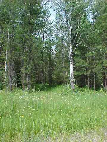 Lot 4 Robin Road Usk, WA 99180 - Photo 1 of 1 Gallery Image 1