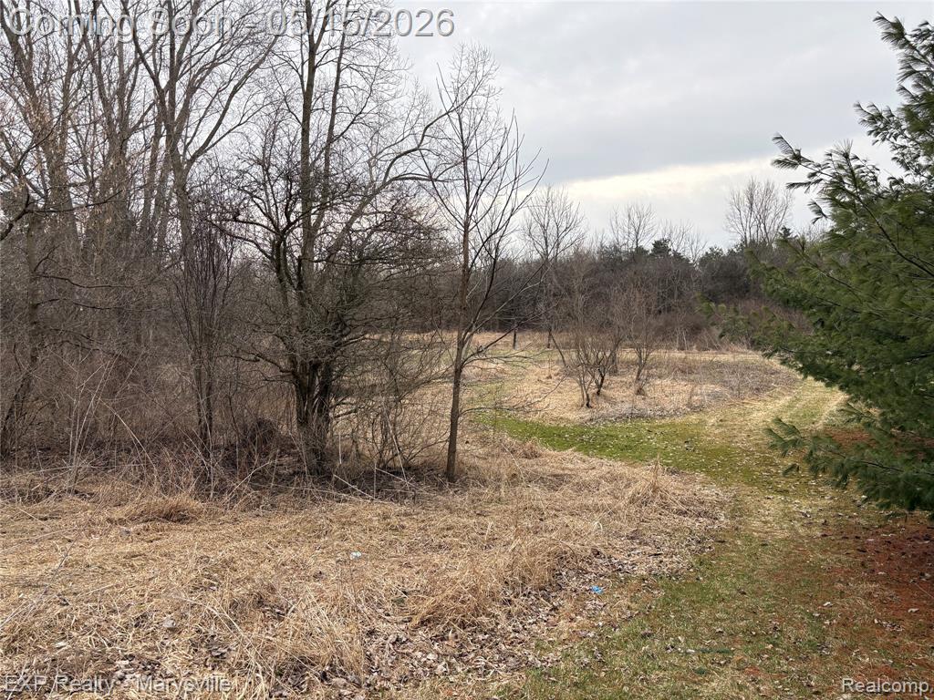 12265 Hough Road Memphis, MI 48041 - Photo 37 of 41