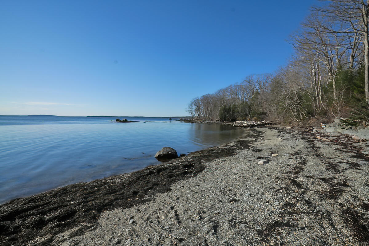 1197 Bay Road Brooklin, ME 04616 - Photo 39 of 45 DTP 1197 Bay Road, LoRes 12