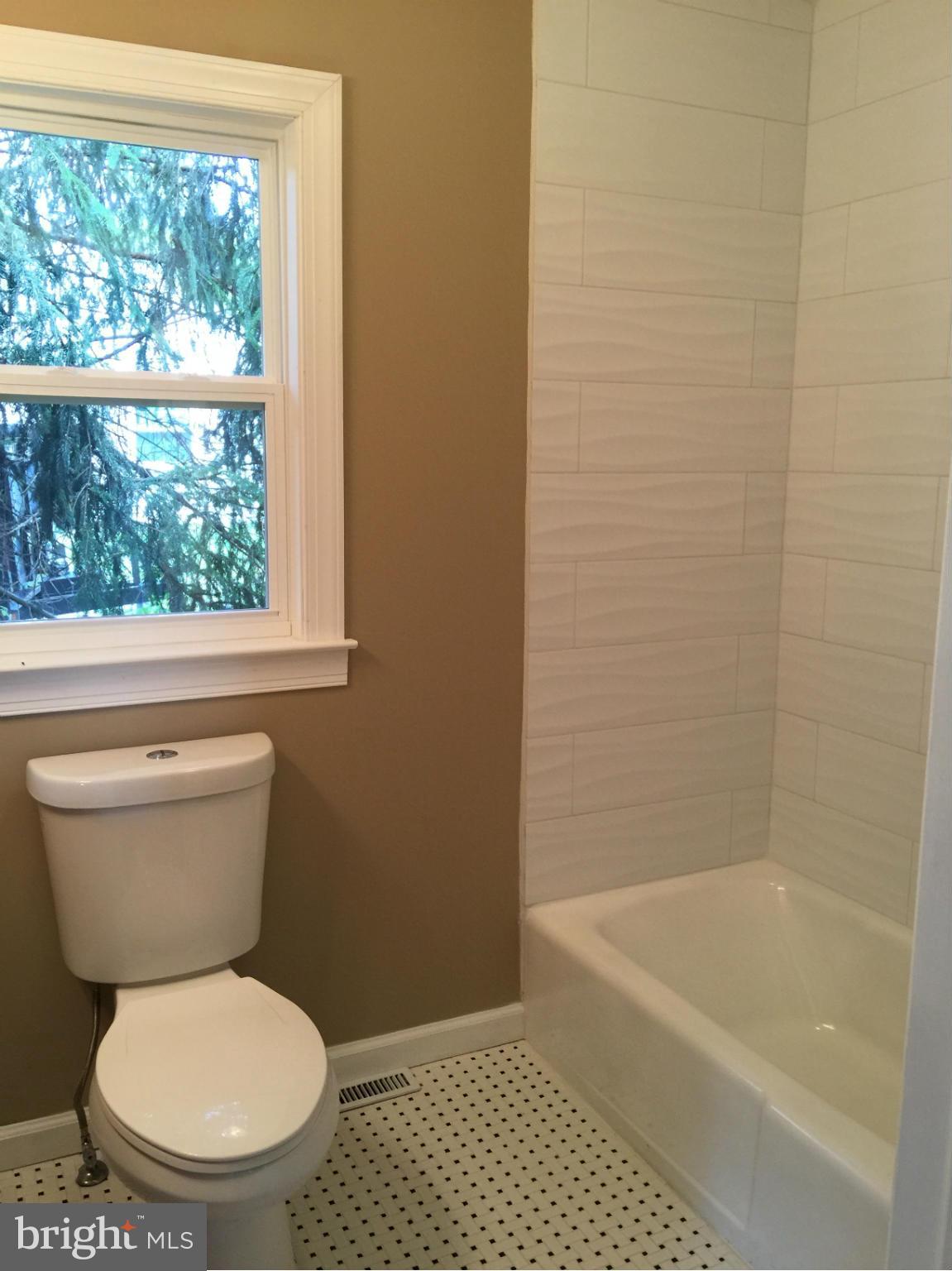 10016 Rixeyville Road Culpeper, VA 22701 - Photo 17 of 28 Bath (Master)