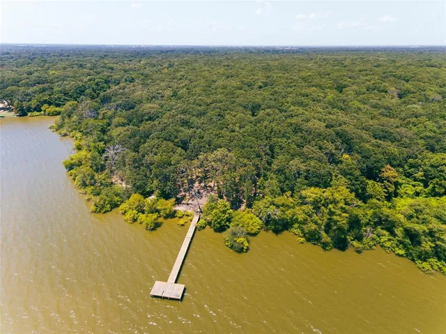 a view of a room with a plant